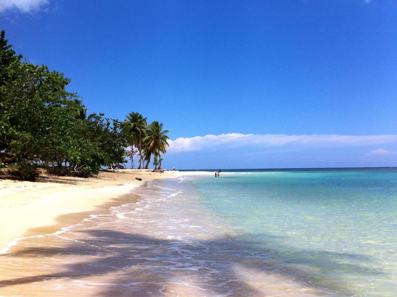 Caribbean Seaview Apart Malecon Santo Domingo Bagian luar foto